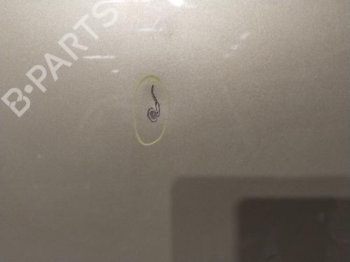 Right rear door CITROËN C4 Picasso I MPV (UD_)  | BP5170758C5 