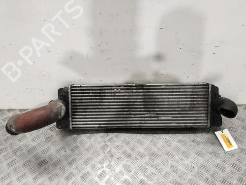 Intercooler MERCEDES-BENZ SPRINTER 3,5-t Van (B906) 313 CDI (906.631, 906.633, 906.635, 906.637) (129 hp) 33208782