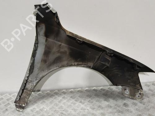 Left front fenders VW PASSAT B7 Variant (365) 2.0 TDI | BP28193609C41 