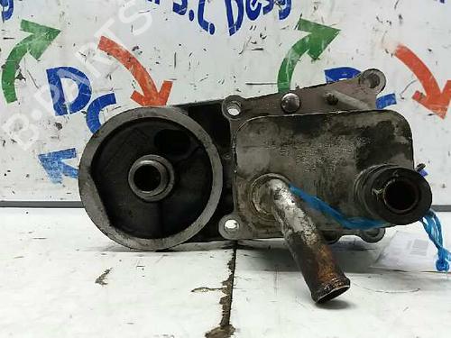 Used Oil radiator FORD FOCUS I (DAW, DBW) [1998-2009]  14065917