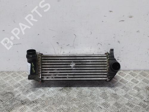 Used Intercooler Intercooler MERCEDES-BENZ CITAN Box Body/MPV (W415) 111 CDI (415.603, 415.605) (110 hp) 15241527 15241527