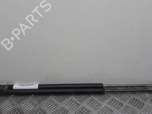 Used Tailgate lift support FORD FIESTA V (JH_, JD_) [2001-2014]  14066888