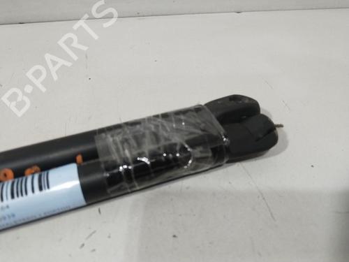 Tailgate lift support CHEVROLET AVEO / KALOS Hatchback (T200) 1.4 | BP29915640C138