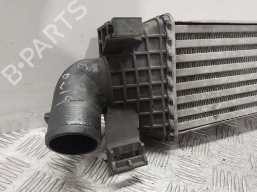 Intercooler FORD FOCUS C-MAX (DM2)  | BP17106071M30 