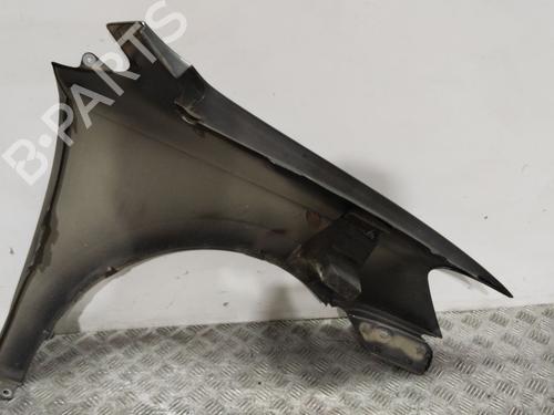 Left front fenders VW POLO V (6R1, 6C1) 1.4 (6R1) | BP29913769C41