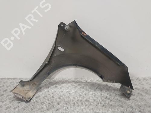 Left front fenders FORD FIESTA V (JH_, JD_) 1.3 | BP24956822C41 