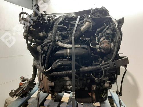 Motor FORD FIESTA VI (CB1, CCN) [2008-2017]  6138115