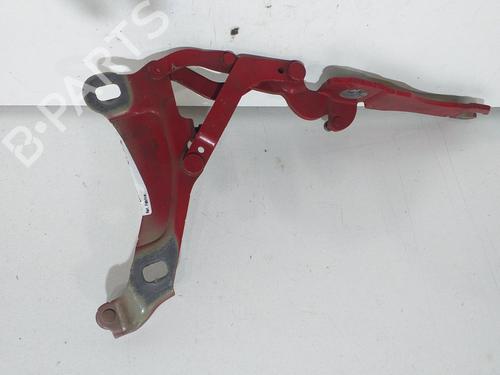 Hinge/Door check strap MINI MINI (R56) One | BP14067653C146 