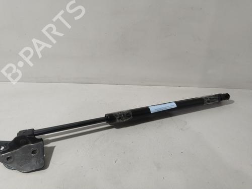 Gasdæmper bagklap NISSAN PATHFINDER III (R51) 2.5 dCi 4WD (171 hp) 31253066