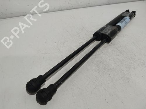 hood-lift-support-renault-kangoo-express-fw01_-2008-24981195 main image