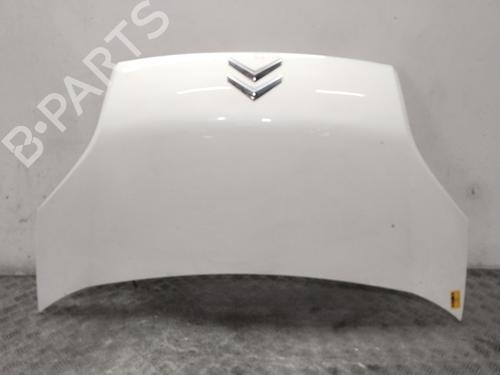 hood-citroen-nemo-box-bodympv-aa_-2008-36787875 main image
