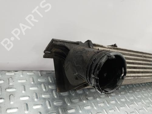 Intercooler BMW 1 (E81) | BP31831783M30