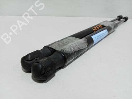 Tailgate lift support RENAULT MEGANE III Hatchback (BZ0/1_, B3_)  | BP29308416C138 