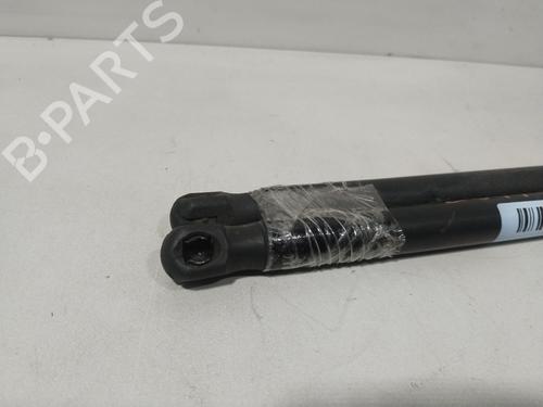 Tailgate lift support SEAT LEON (1P1) 1.6 TDI | BP29734128C138 
