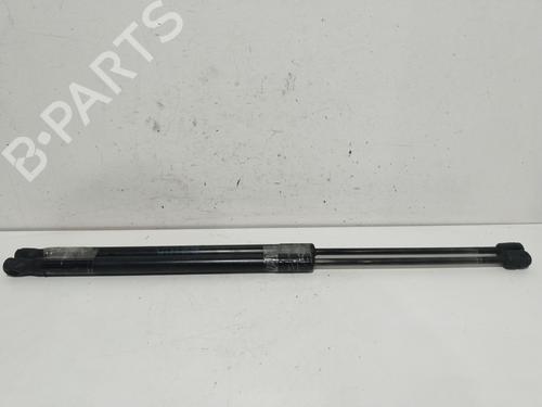 Tailgate lift support BMW 3 Touring (E91)  | BP20851945C138 