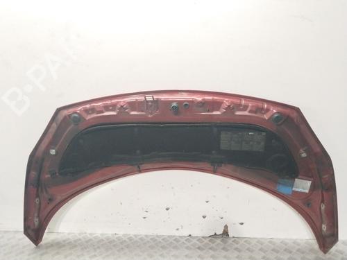 Hood RENAULT GRAND SCÉNIC II (JM0/1_) 1.9 dCi (JM0G, JM12, JM1G, JM2C) | BP19536327C1 