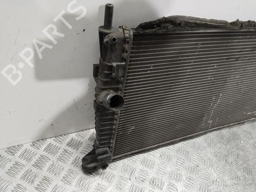 Water radiator FORD FOCUS II (DA_, HCP, DP) | BP32212461M31