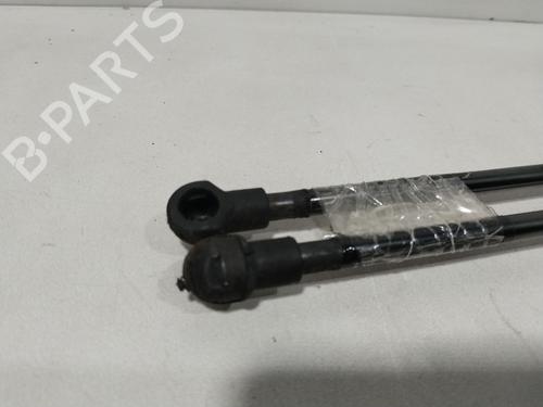 Tailgate lift support RENAULT GRAND SCÉNIC IV (R9_) 1.3 TCe 160 | BP29734094C138 