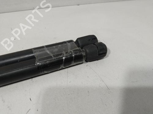 Tailgate lift support SKODA OCTAVIA I (1U2) 1.9 TDI | BP29854014C138