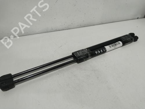 tailgate-lift-support-suzuki-swift-iii-mz-ez-2005-24855850 main image