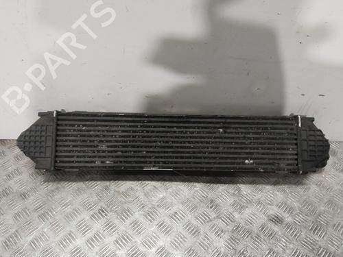 Intercooler FORD S-MAX (WA6) 2.0 TDCi | BP31792990M30