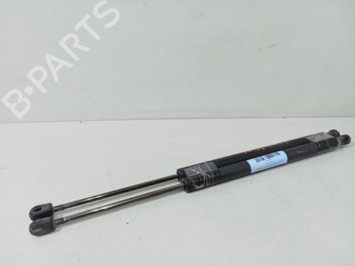 Siłownik klapy tylnej / bagażnika RENAULT SCÉNIC II (JM0/1_) 2.0 (JM05, JM0U, JM1N, JM1U, JM2V) 8200119500