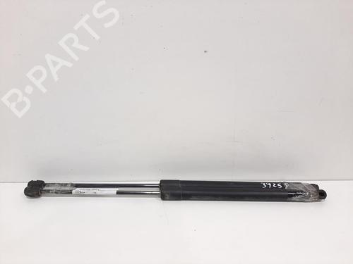 Used Tailgate lift support MERCEDES-BENZ B-CLASS Sports Tourer (W245) [2005-2011]  14066544