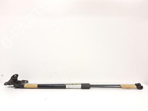 Used Tailgate lift support MERCEDES-BENZ GLA-CLASS (X156) GLA 220 d (156.903) (177 hp) 14066564