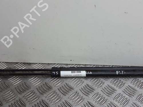 Used Tailgate lift support TOYOTA COROLLA Verso (ZER_, ZZE12_, R1_) [2004-2009]  14067158
