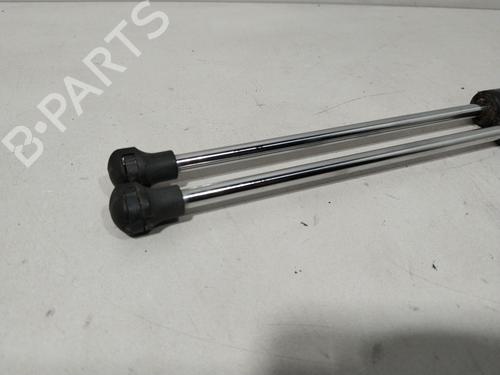 Tailgate lift support RENAULT CLIO II (BB_, CB_) 1.5 dCi (B/CB08) | BP30152855C138