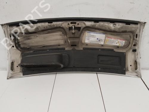 Hood FIAT DUCATO Van (230_) 2.5 D 4x4 | BP16994147C1 