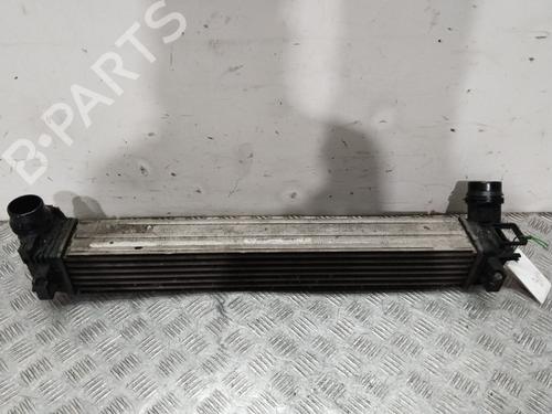 Used Intercooler Intercooler RENAULT MEGANE III Hatchback (BZ0/1_, B3_) 1.2 TCe (BZ2B, BZ11) (116 hp) 33053822 33053822