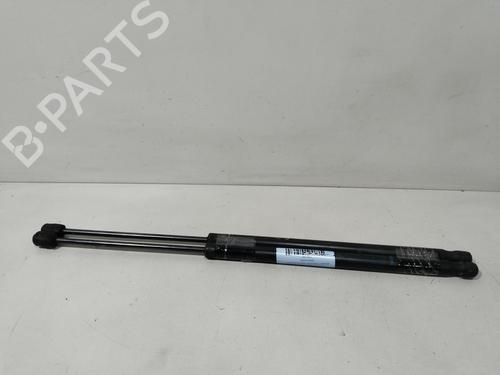 Used Tailgate lift support RENAULT GRAND SCÉNIC II (JM0/1_) 1.9 dCi (JM14) (131 hp) 29854015