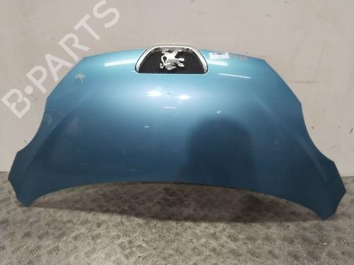 Panser Panser PEUGEOT 107 (PM_, PN_) 1.4 HDi (54 hp) 30657323 30657323