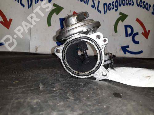 Egr SEAT IBIZA III (6L1)  | BP5168616M69 