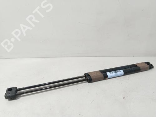 Used Tailgate lift support RENAULT MEGANE II Estate (KM0/1_) 1.5 dCi (KM16, KM1E) (106 hp) 30396304
