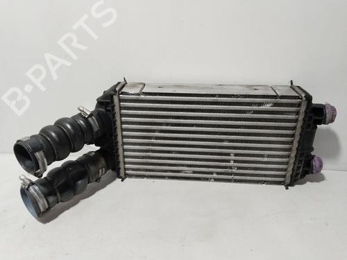 Used Intercooler Intercooler PEUGEOT 2008 II (UD_, US_, UY_, UJ_, UR_, UC_) 1.2 PureTech 100 (USHNK) (101 hp) 31713727 31713727