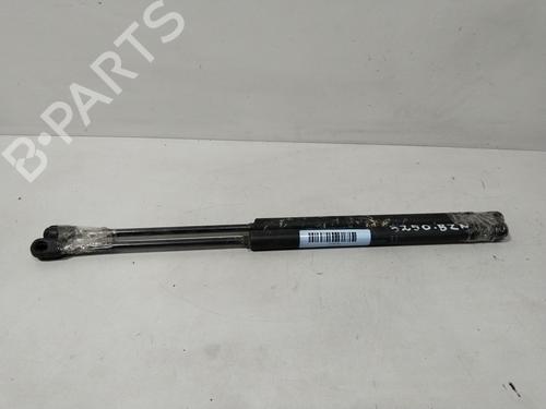 Used Tailgate lift support CITROËN C3 I (FC_, FN_) 1.4 HDi (68 hp) 29639463