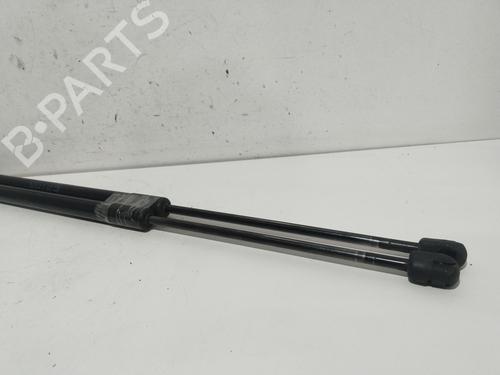 Tailgate lift support BMW 3 Touring (E91)  | BP20851945C138 