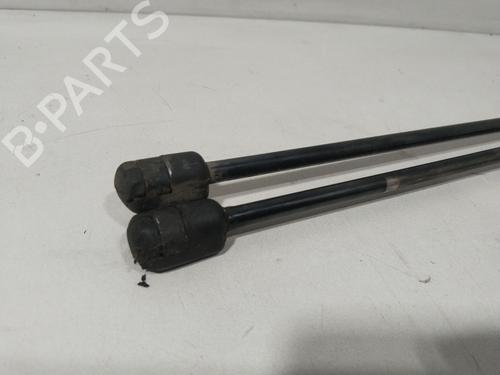 Tailgate lift support OPEL MERIVA A MPV (X03) 1.8 (E75) | BP29434012C138 