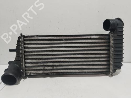 Used Intercooler FORD TRANSIT CONNECT V408 Box Body/MPV 1.5 TDCi (120 hp) 23256406