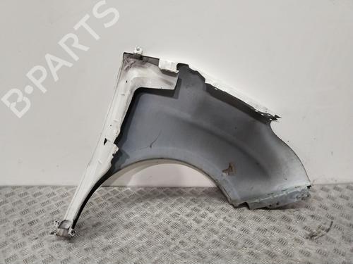 Left front fenders FIAT DOBLO Box Body/MPV (223_) 1.3 D Multijet | BP27860550C41 