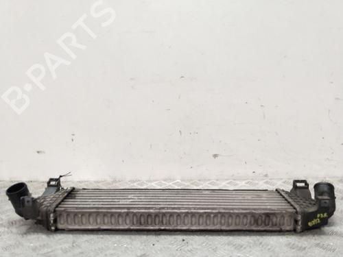 Intercooler FORD FOCUS II (DA_, HCP, DP)  | BP17615752M30 