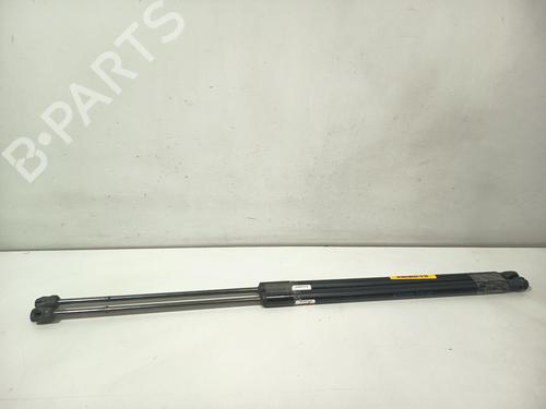 tailgate-lift-support-ford-c-max-ii-dxacb7-dxaceu-2010-2011-2012-2013-2014-2015-2016-2017-2018-2019-32983298 main image