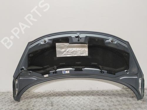 Hood PEUGEOT 207 CC (WD_) 1.6 HDi | BP29122407C1 