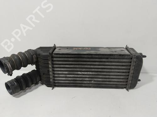 Used Intercooler PEUGEOT 207 (WA_, WC_) 1.6 HDi (90 hp) 29402683