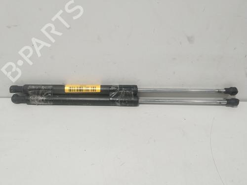 tailgate-lift-support-renault-clio-iii-br01-cr01-2005-2006-2007-2008-2009-2010-2011-2012-2013-2014-37518660 main image