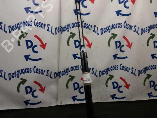 Tailgate lift support SEAT TOLEDO III (5P2) 1.9 TDI | BP14065926C138 