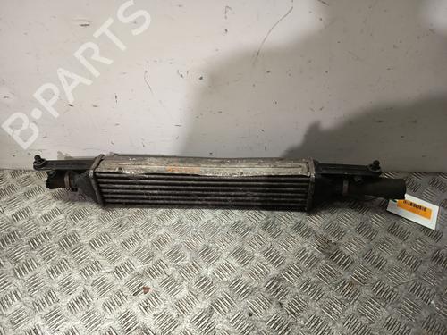 Used Intercooler Intercooler FIAT PUNTO (199_) 1.2 (199AXZ1A, 199BXZ1A) (69 hp) 32450139 32450139