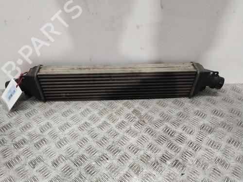 Used Intercooler Intercooler OPEL CORSA D (S07) 1.6 Turbo (L08, L68) (192 hp) 29132740 29132740